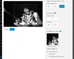 Introducing the new Obituary Photo Scheduler